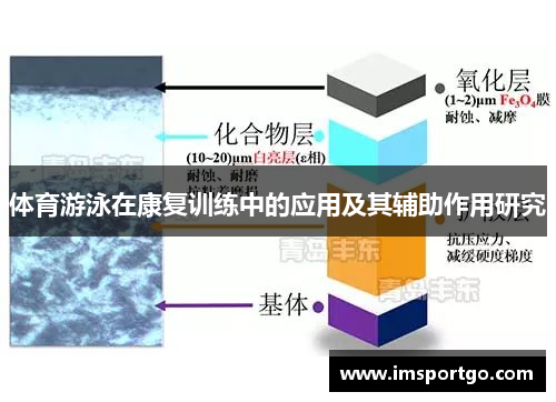 体育游泳在康复训练中的应用及其辅助作用研究