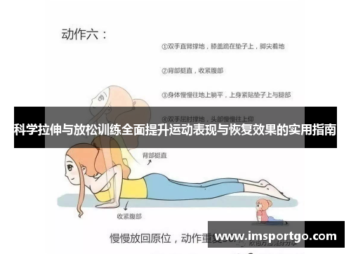 科学拉伸与放松训练全面提升运动表现与恢复效果的实用指南