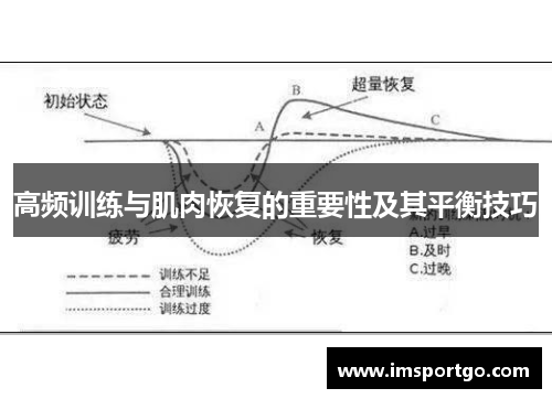 高频训练与肌肉恢复的重要性及其平衡技巧